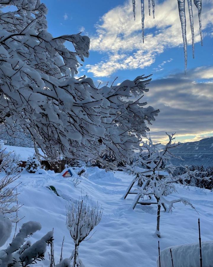 Naturgut Gailtal Sankt Stefan an der Gail Buitenkant foto