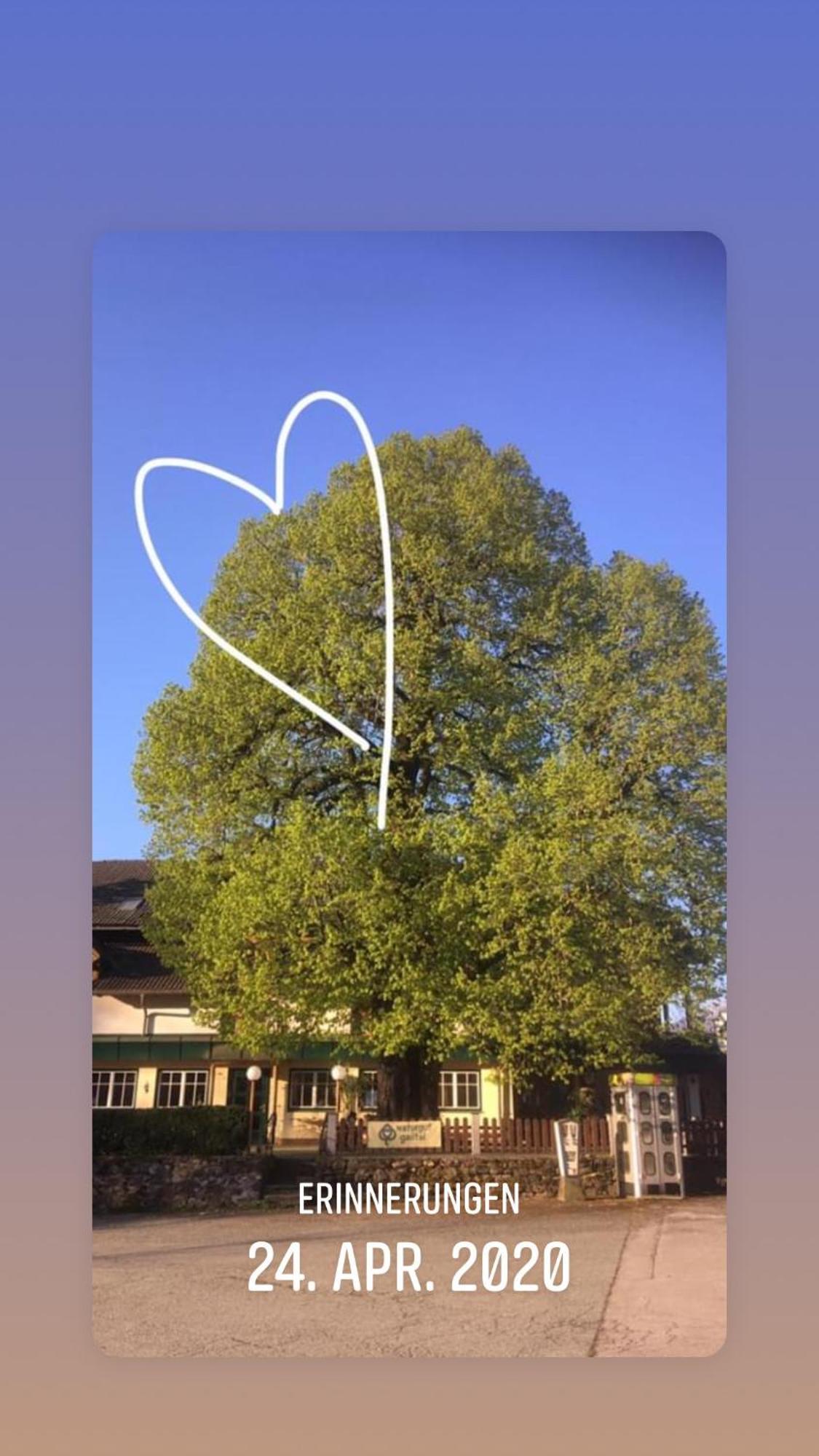 Naturgut Gailtal Sankt Stefan an der Gail Buitenkant foto
