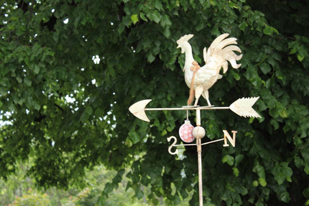Naturgut Gailtal Sankt Stefan an der Gail Buitenkant foto