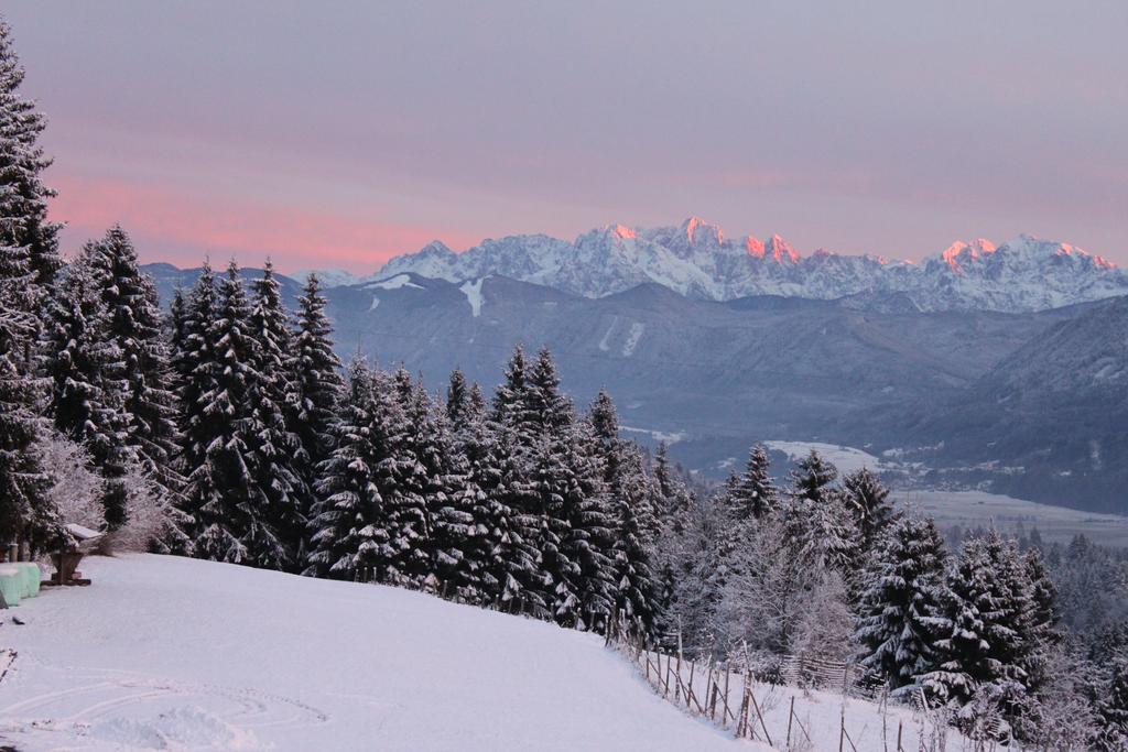 Naturgut Gailtal Sankt Stefan an der Gail Buitenkant foto