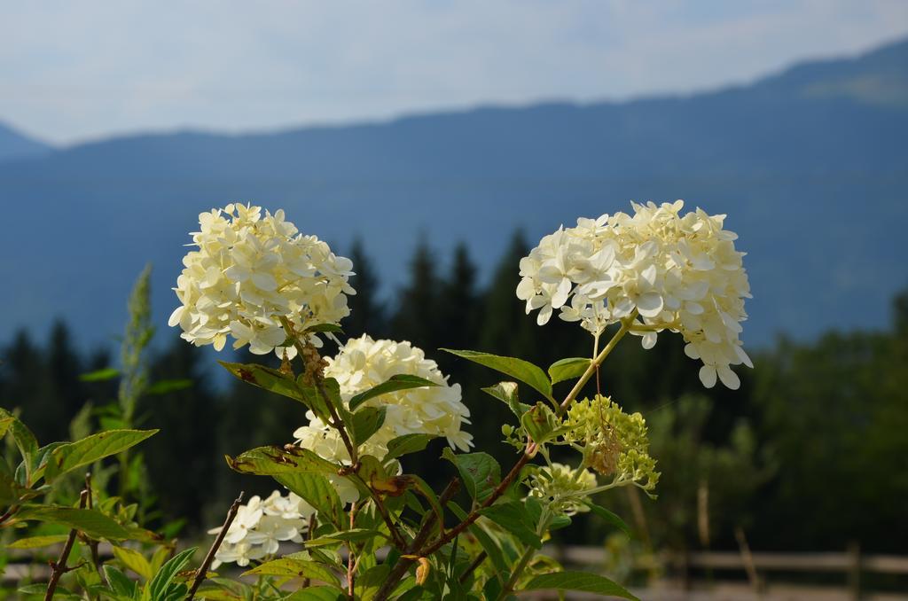 Naturgut Gailtal Sankt Stefan an der Gail Buitenkant foto