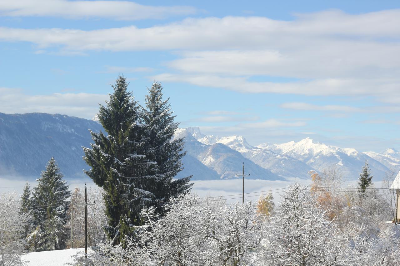 Naturgut Gailtal Sankt Stefan an der Gail Buitenkant foto